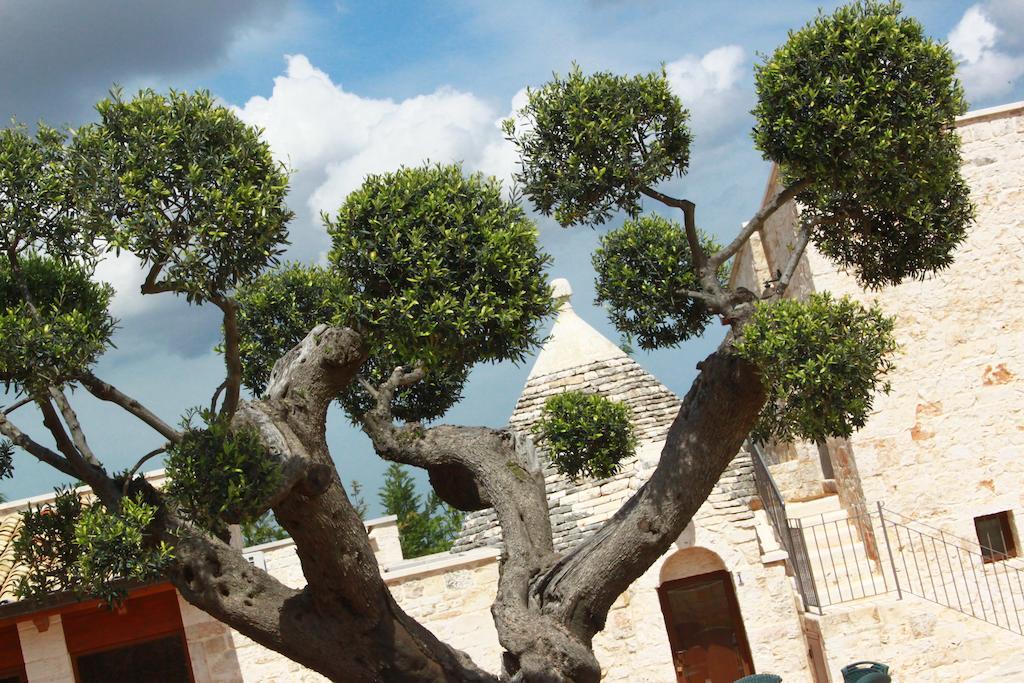 B&B Fiano Marchione Castellana Grotte Exteriör bild